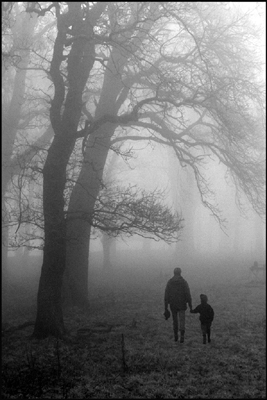 Foggy Day